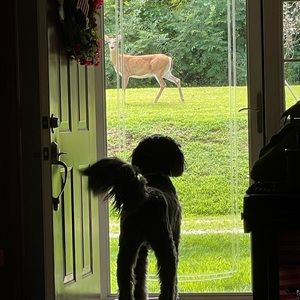 See something you like ? Make me a reasonable offer 😊